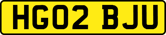 HG02BJU
