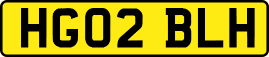 HG02BLH