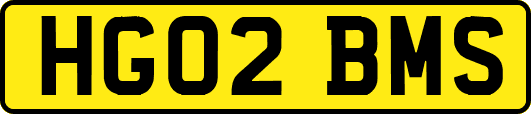 HG02BMS
