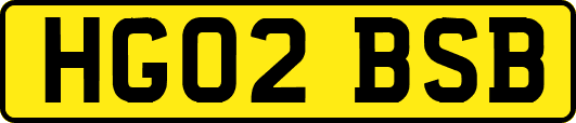 HG02BSB
