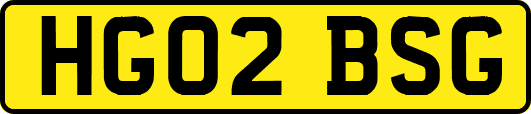 HG02BSG