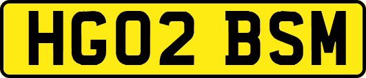 HG02BSM