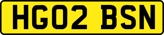 HG02BSN