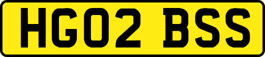 HG02BSS