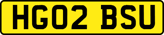 HG02BSU