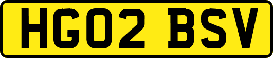 HG02BSV