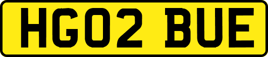 HG02BUE