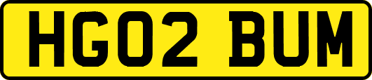 HG02BUM