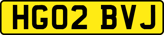 HG02BVJ