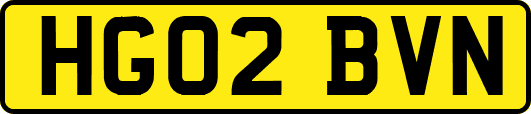 HG02BVN