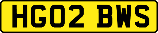 HG02BWS