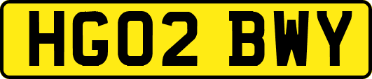 HG02BWY