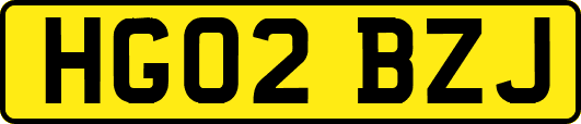 HG02BZJ