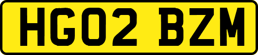 HG02BZM