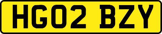 HG02BZY
