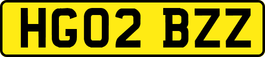 HG02BZZ