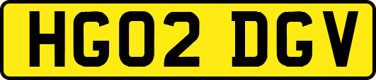 HG02DGV
