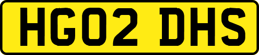 HG02DHS