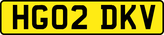 HG02DKV