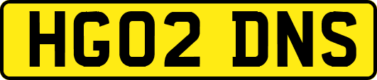 HG02DNS