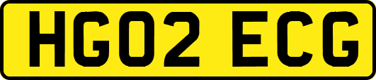 HG02ECG