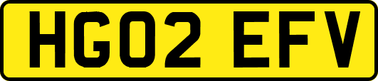 HG02EFV