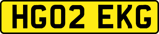 HG02EKG