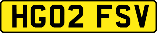 HG02FSV