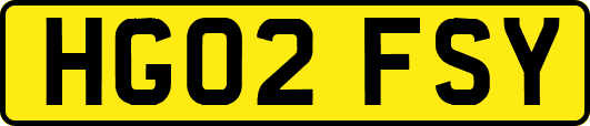 HG02FSY