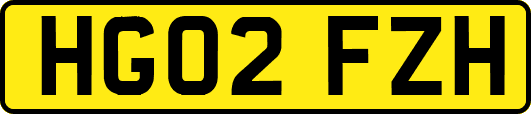 HG02FZH