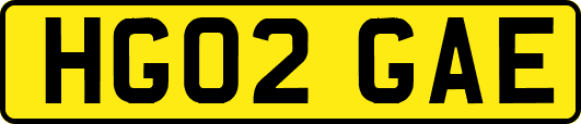 HG02GAE
