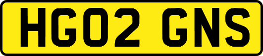 HG02GNS