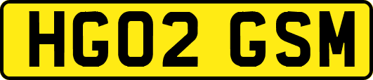 HG02GSM