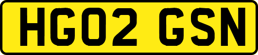 HG02GSN