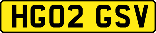 HG02GSV