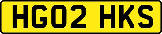 HG02HKS