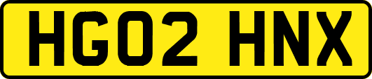 HG02HNX