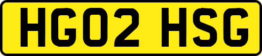HG02HSG