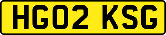 HG02KSG