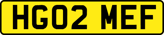 HG02MEF