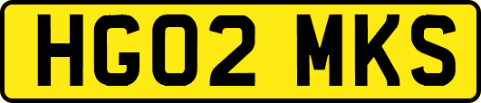 HG02MKS