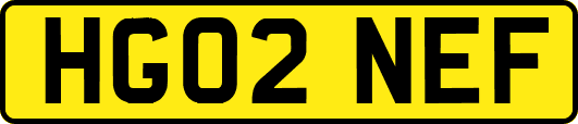 HG02NEF