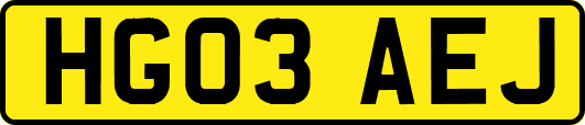 HG03AEJ