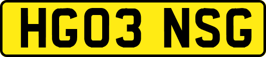 HG03NSG