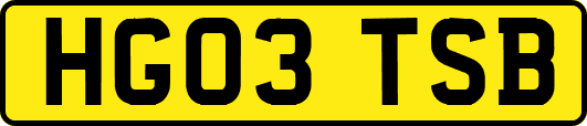 HG03TSB