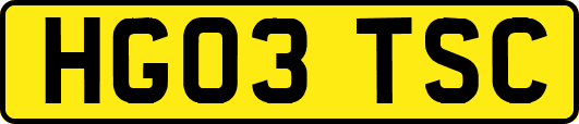 HG03TSC