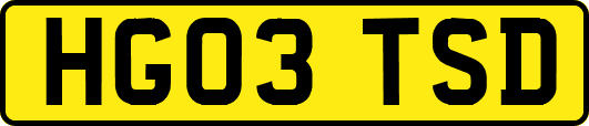 HG03TSD