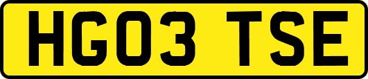 HG03TSE