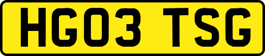 HG03TSG