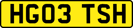 HG03TSH